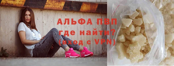 ешки Бородино