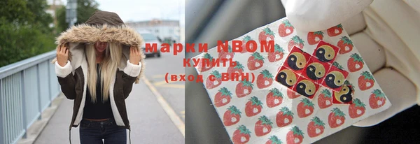 шишки Бронницы