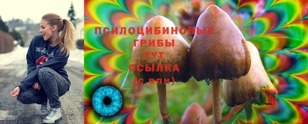 дмт Верея