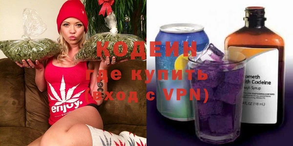 ешки Бородино
