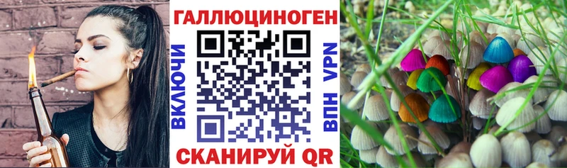 Псилоцибиновые грибы Magic Shrooms Кемь